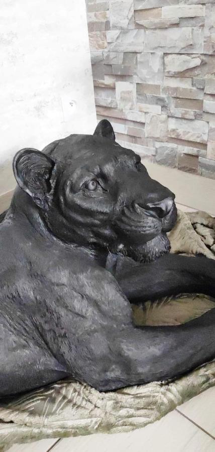 Zoologîte Saint-Aignan  Buitenkant foto